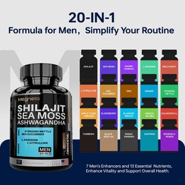 Megneta 20-in-1 Testoster1 Booster with Nitric Oxide & Cortisol Support – Ashwagandha, Seamoss, Shilajit, 60 Capsules