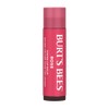 Tinted Lip Balm - Rose