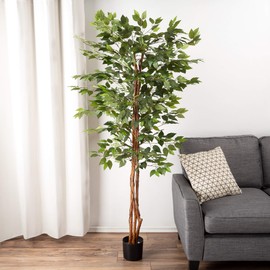 Ficus Artificial Tree - 80-Inch Potted Faux Silk Tree with Natural Looking Leaves for Office or Home Decor - Realistic Indoor Plants by Pure Garden
