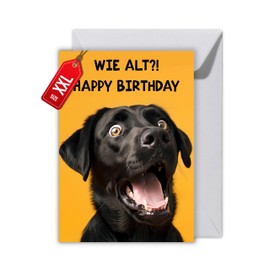 Funny Dog Birthday Card - Funny Folding Card DIN A6 "How Old?! Happy Birthday" - Humorous Greeting Card with Envelope for Men, Women, Friends & Colleagues (XXL DIN A4)
