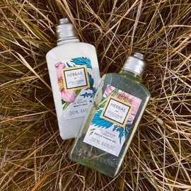 L'OCCITANE Herbae Shower Gel 250 ml