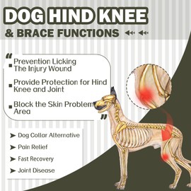 ROZKITCH Dog Surgery Recovery Sleeve Rear Legs, Pet Sleeve to Prevent Licking Wound Elbow Brace Protector, Dog Recovery Suit Cone Collar Alternative for Sprain ACL CCL Arthritis Joint Care Green L