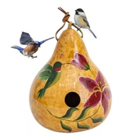 Saving Shepherd HUMMINGBIRD GOURD BIRDHOUSE - Amish Hand Painted Bird House USA