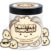 Positive Dumpling Jar with 60 Daily Affirmation Cards, Emotional Support