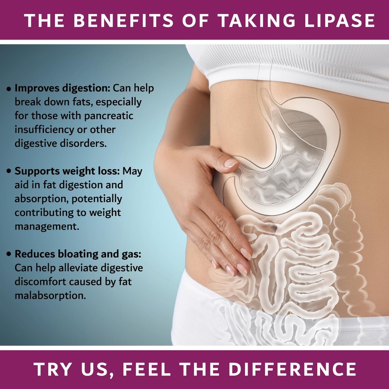 Epigenetics Lipase DR (Delayed Release) 50mg | Digestive Enzyme Supplements