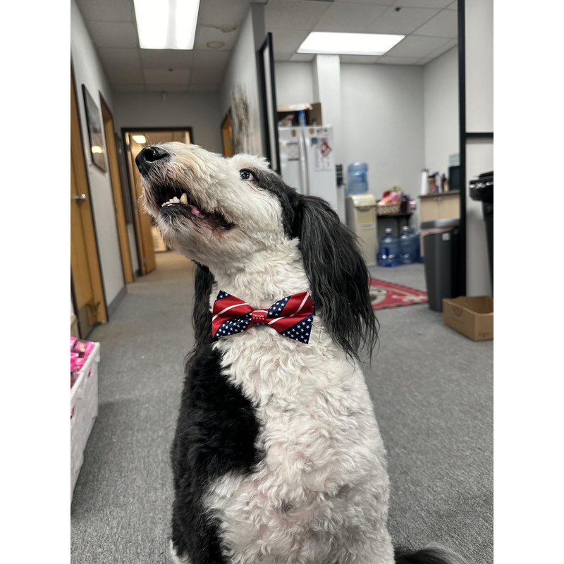 Fabrique Innovations Trump 2024 Bow Tie