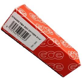 Rhöna Check Valve Oxygen GVO 10 1/4 "