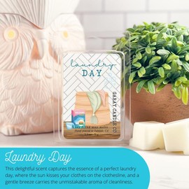 Clean Soy Blend Wax Melts Candle Decor with 50  including holiday favorite fragrances, smokeless fragrance for your home   Freshener Scented - Scent: Laundry Day