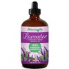Naturopathy Lavender Essential Oil, 100% Natural Therapeutic Grade, Premium Quality