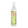 NOTHING BUT Curl Wake Up Spray - Sulfate-Free Defining, Refresher