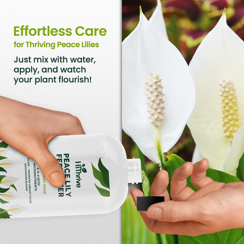 32oz Peace Lily Plant Indoor Live Fertilizer - Makes 192