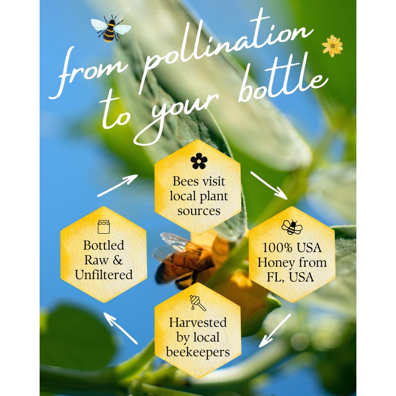 Orchard Pond Tupelo Honey - Rare Harvest from White Ogeechee