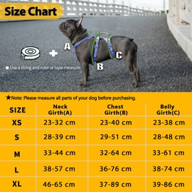 Huntboo Escape Proof Dog Harness, No Pull Reflective Harness with Lift Handle, Adjustable Pet Vest with Front and Back Leash Clips for Small Medium Large Dogs Walking Hiking Training (Purple,XL)