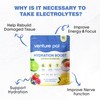 Venture Pal Sugar Free Electrolyte Powder Packets - Liquid Daily