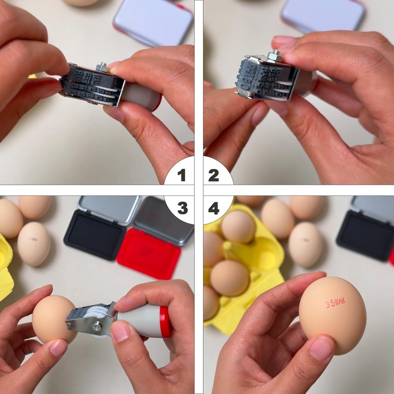 Homvik Egg Date Stamp for Fresh Eggs, Rubber Egg Stamper,