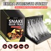 4 Pack 10" x 16" Large Snake Glue Traps with