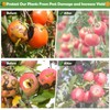 Tetutor 10x10 FT Fruit Trees Netting with Zipper,3Pcs Large Tree