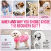 SlowTon Dog Recovery Suit - Surgery Recovery Suit for Female