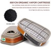 Bgs13 Full Face Respirаtor Reusable, Gas Cover Organic Vapor Mask