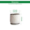 D'vine Dev 5 Inch Embossed Leaves Stoneware Planter Pot with