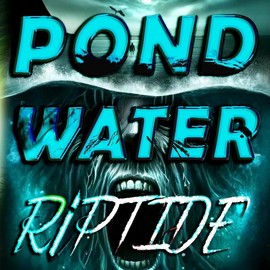 Riptide - Signed Soft Cover - Editor's  Choice Award Winner - Gripping Thriller