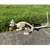 Crazy Bonez Skeleton Squirrel