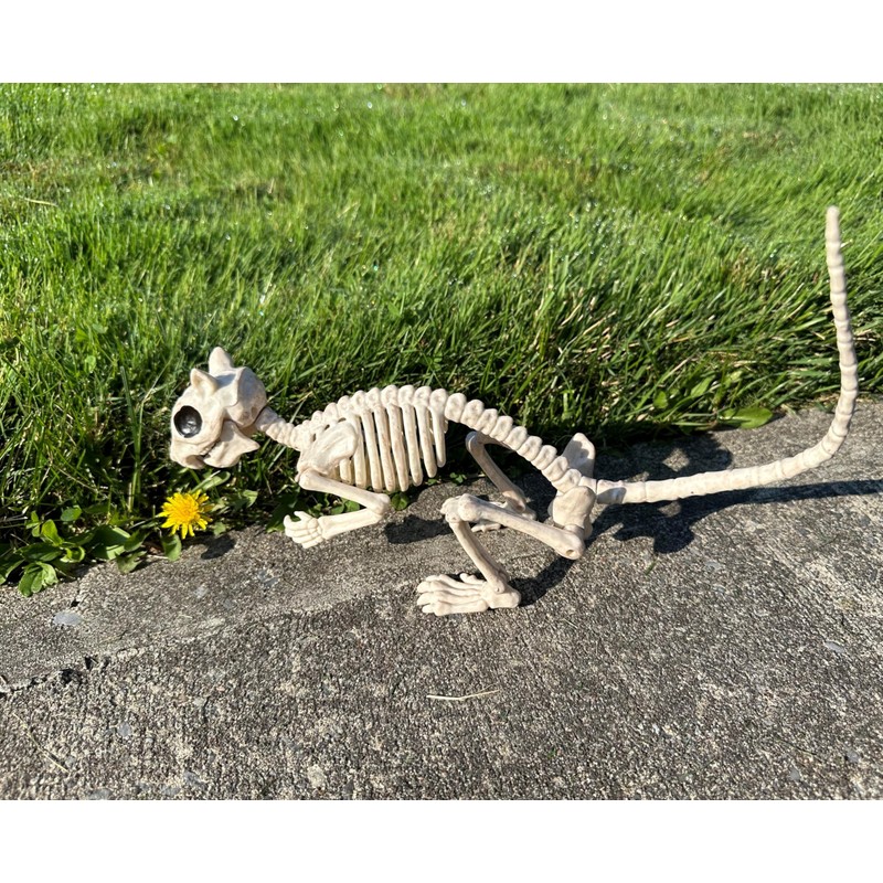 Crazy Bonez Skeleton Squirrel