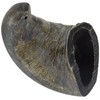 QT Dog Small Water Buffalo Horn - Long-Lasting 100% All-Natural