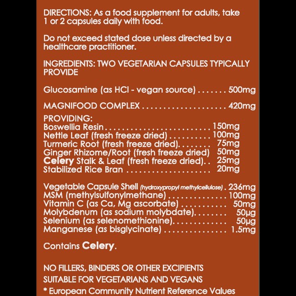 Terra Nova Glucosamine Boswellia & MSM Complex 100 veg tabs