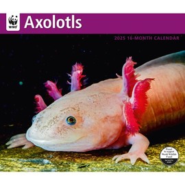 Calendar Ink, Axolotls WWF 2025 Wall Calendar