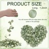 Whaline 600Pcs Silk Rose Petals Sage Green Flower Petals Artificial