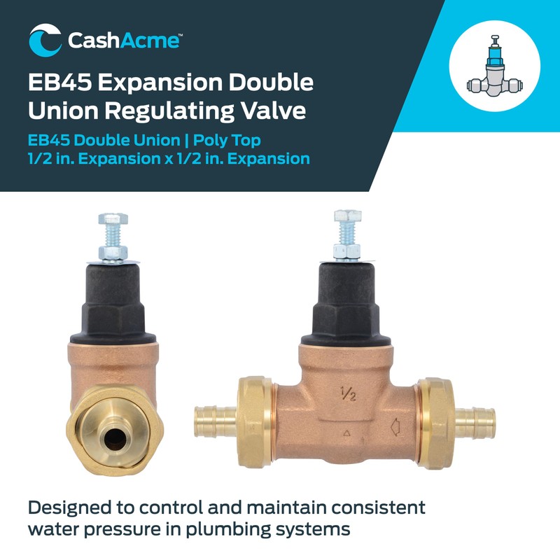 Cash Acme EB45 Pressure Regulating Valve, Double Union, 1/2 Inch