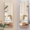 Hasipu Door Mirror Full Length, 47"x 16" Full Body Over