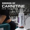 Liquid Carnitine 3000 for Energy and Recovery Support Dietary Fitness