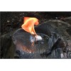 UST WetFire Tinder with Lightweight, Compact Design, Individual Packaging and