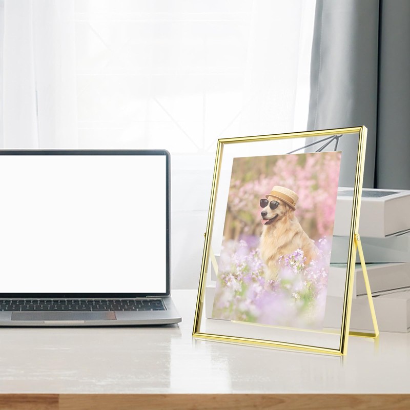LELE LIFE Gold Floating Picture Frame - Real Glass Metal