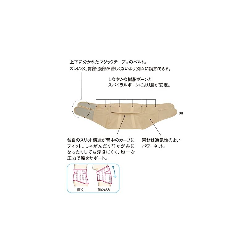 Wacoal Raku Partner DWL600 Lumbar Protection Belt, Supporter, Stable Support,