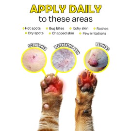 animark Yellow CENTELLA Salve – Hot Spot & Wound Care Ointment for Dogs, Cats & Small Animals – Lick-Safe, Fast-Acting, Steroid-Free, Natural Healing Balm for Cracked Paws & Skin Irritation, 1.16 oz