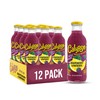 Calypso Lemonade, Grapeberry, Made with Real Fruit, 16 Fl Oz