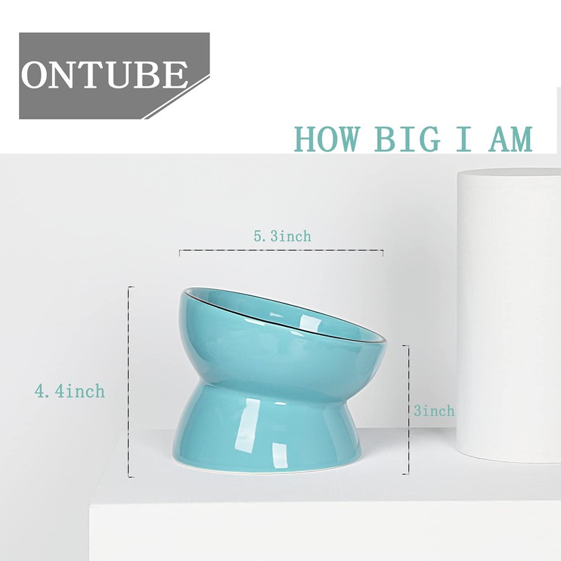 ONTUBE Ceramic Raised Cat Dishes or Small Dog Bowl, Pet