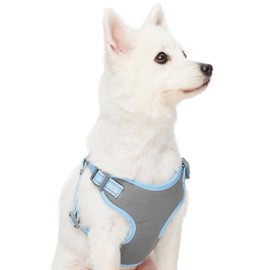 Blueberry Pet Essentials Pastel Color Reflective Dog Harness Vest, Chest Girth 17.5" - 21", Baby Blue, Small, Adjustable Harnesses for Dogs