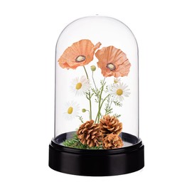 AHANDMAKER Acryl Vitrine Kuppelglocke Globus 9.3 x 13.5cm Schwarzer Sockel Kristallkuppel Glocke Glas Vitrine Für Figuren Pflanzen Hochzeitsdekorationen
