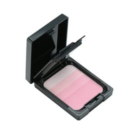 TAKAKO OHASHI Designer Face Color EX Gradient Rose 12g Teak Highlights Nuance Colors