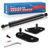 ARANA Tailgate Assist Shock for Ford F150, 2015-2025 Tail Gate