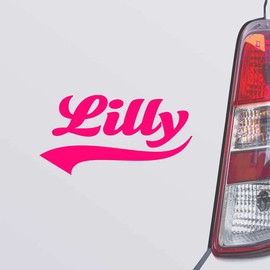 Custom Brother - Lilly Name Pink Color Car Laptop Wall Bumper Decal Sticker, DesR75