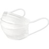 Hakugen Earth Comfort Guard Masks, Small Size, 60 Pieces (Individually