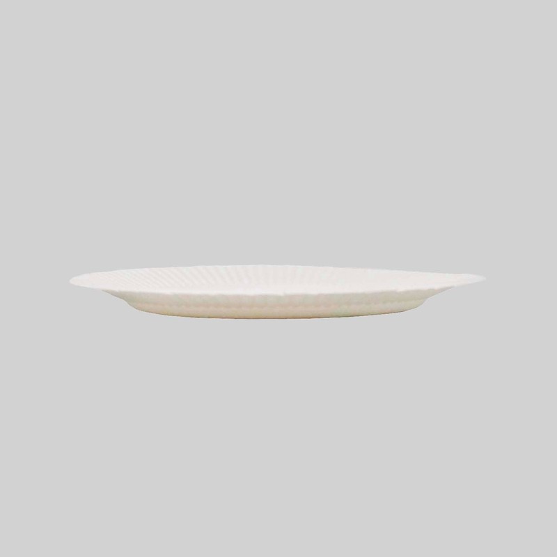E-18120 Paperware Paper Plates, 7.1 inches (18 cm), Extra Pack,