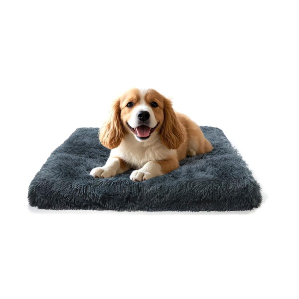 Small Dog Bed 50x40x5cm, Cat Bed, Washable Removable Cover with