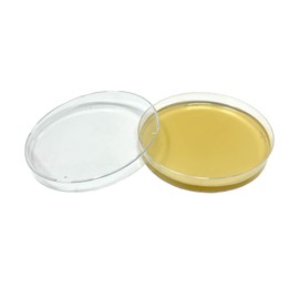 Olympus Myco Malt Yeast Extract Agar Plates (MYA) - 10 Sterile Prepoured Petri Dishes for Mushroom Cultivation & Science Projects - Now with Improved Packaging