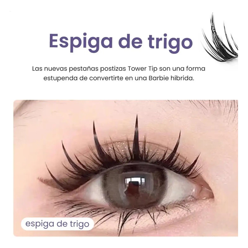 Pestañas Postizas Naturales Segmentación Extensiones Lashes